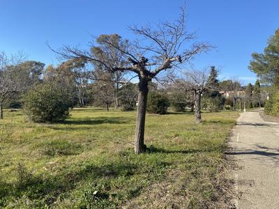 Terrain constructible - 2 000 m²