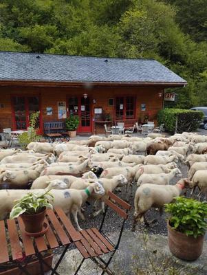 Propriété - 280 m² - 11 pièces