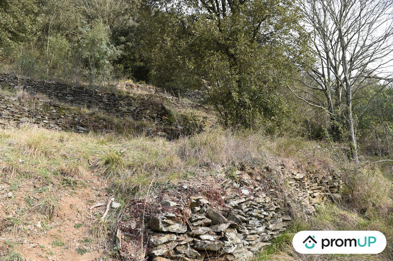 Terrain agricole - 2 780 m²