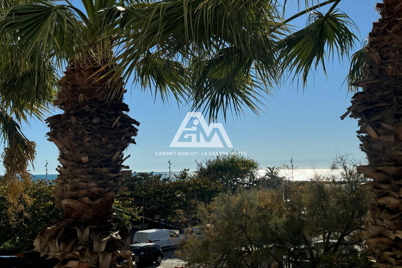 Appartement - 25 m² - 1 pièce