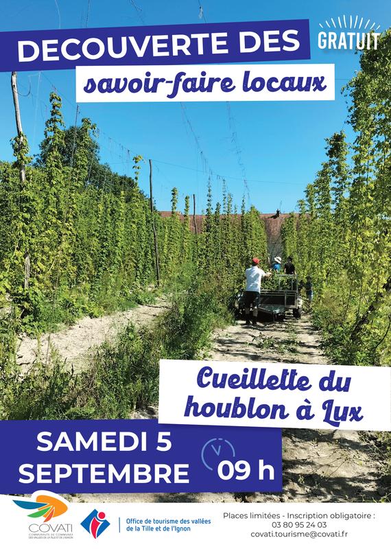 Découverte des savoir-faire locaux : Cueillette du houblon à Lux