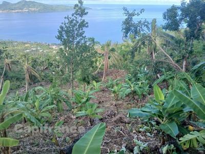 Terrain agricole - 3 328 m²