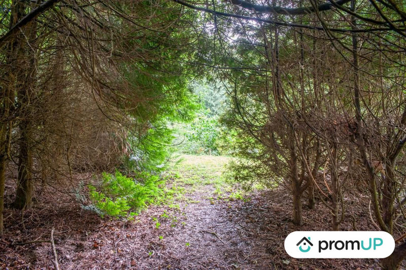 Terrain de loisirs - 6 460 m²