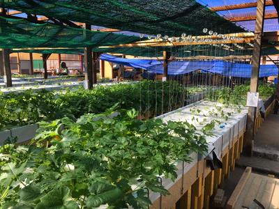 Visite de la ferme aquaponique de l'Abbaye