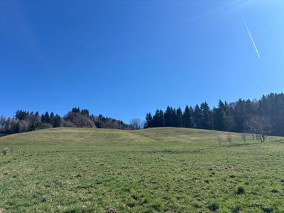 Terrain constructible - 1 218 m²