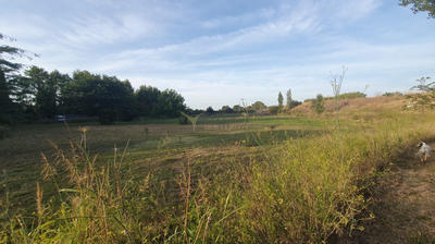 Terrain commercial - 17 000 m²
