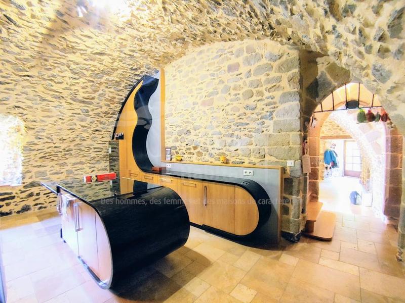 Château - 450 m² - 12 pièces