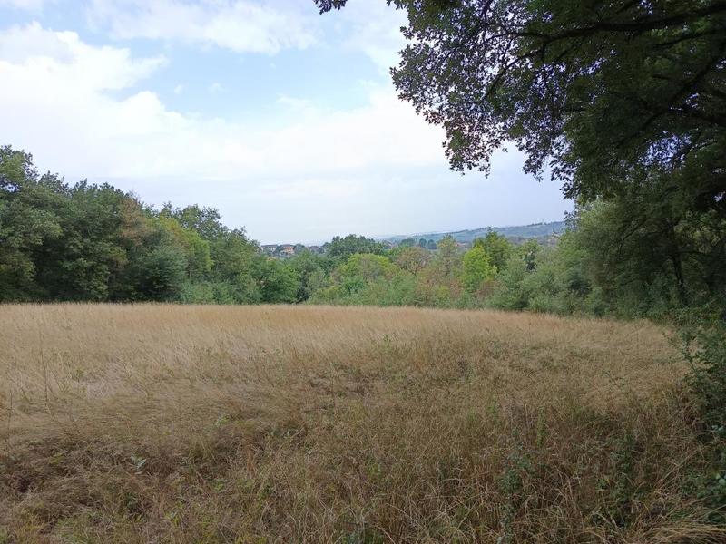 Terrain agricole - 33 821 m²