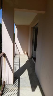 Studio - 30 m² - 1 pièce