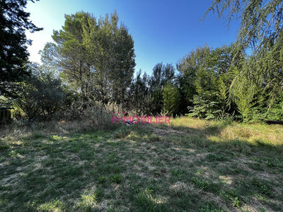Terrain - 775 m²
