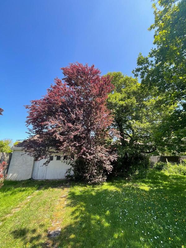 Maison traditionnelle - 117 m² - 5 pièces