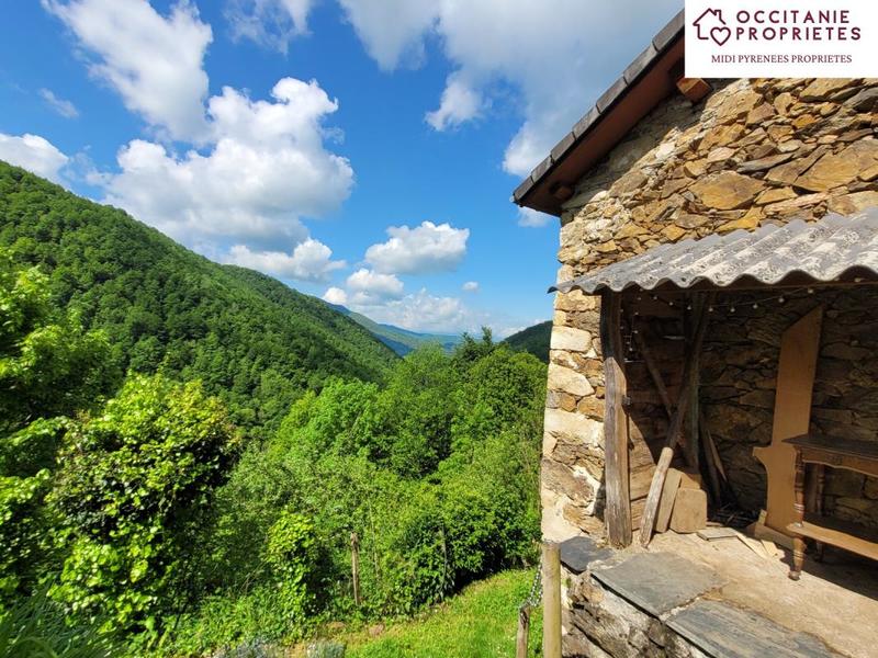 Maison en pierre - 78 m² - 3 pièces