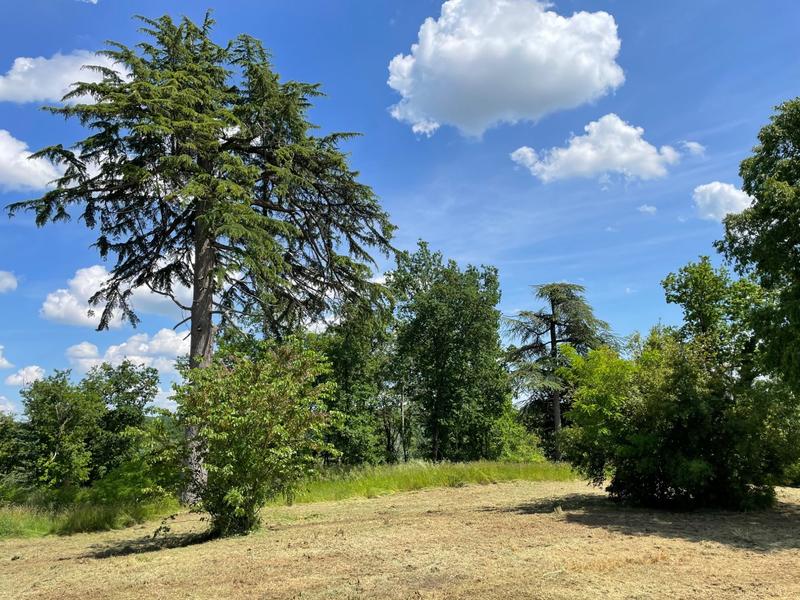 Maison - 300 m² - 12 pièces