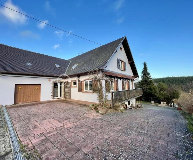 Château - 285 m² - 10 pièces