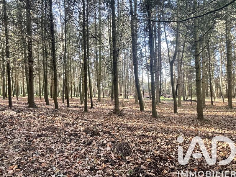 Maison - 197 m² - 8 pièces