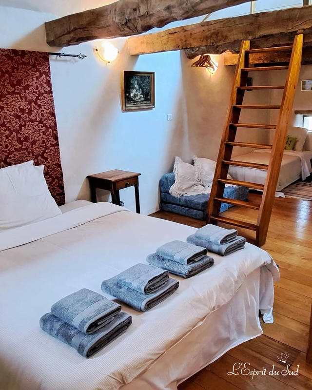 Mas - 418 m² - 19 pièces