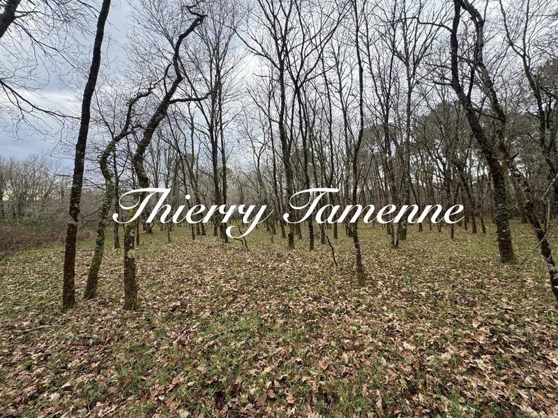 Terrain - 96 131 m²