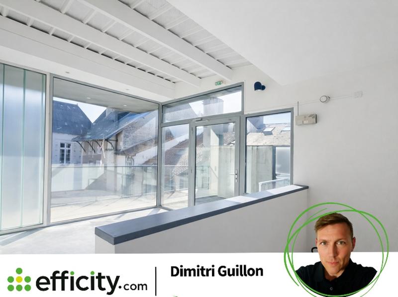 Loft - 55 m² - 3 pièces