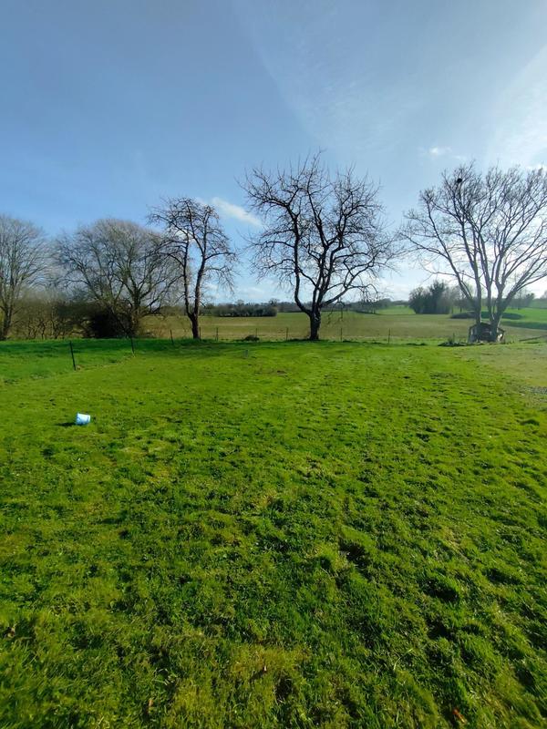 Maison - 117 m² - 5 pièces