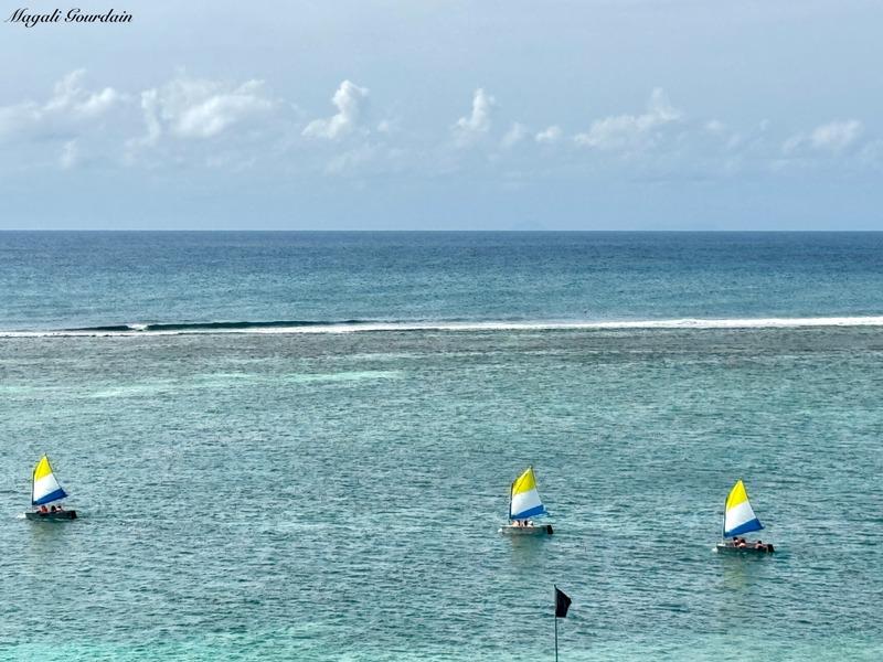 Appartement - 134 m² - 4 pièces