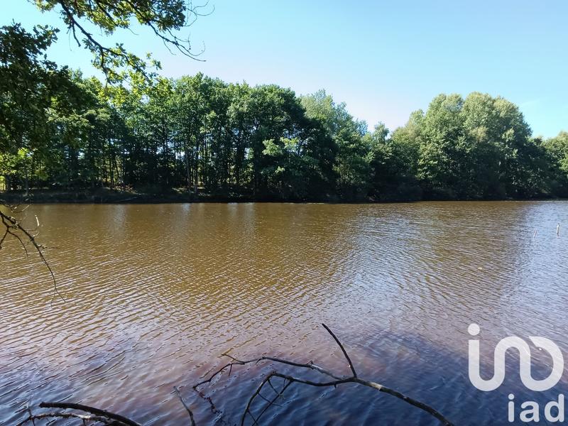 Terrain - 37 398 m²