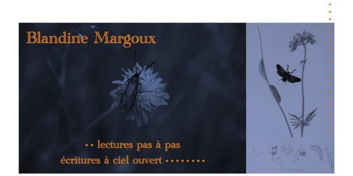 Troubadours &amp; Troubadouresses • Atelier d'écriture créative