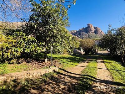 Maison - 187 m² - 7 pièces