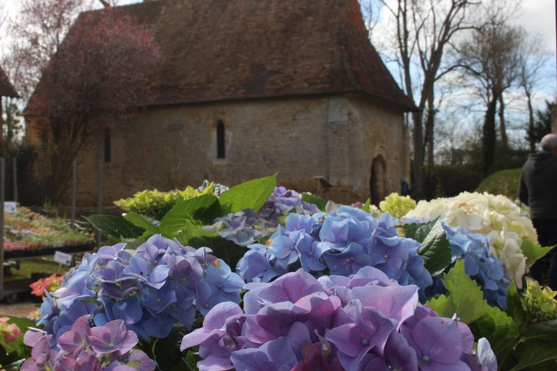Le Jardin s'invite au Château