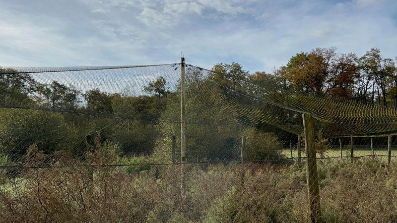 Maison - 48 m² - 1 pièce