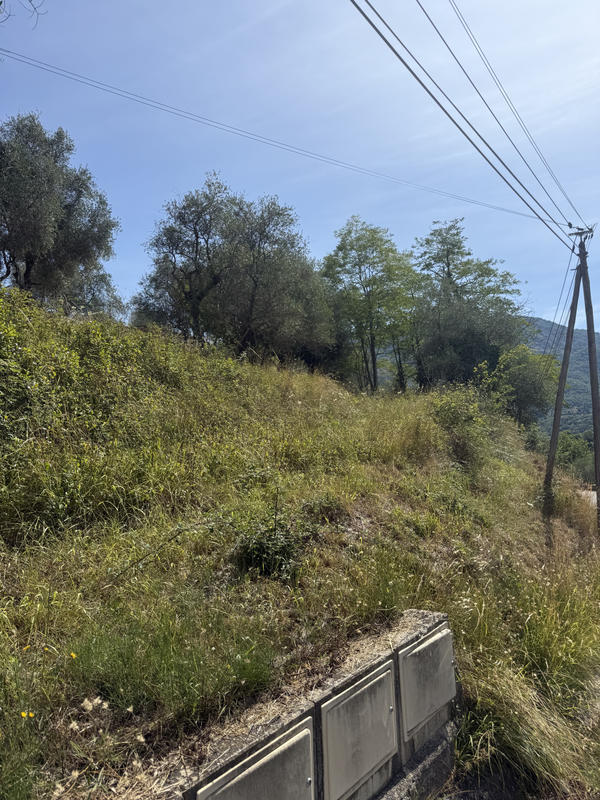 Terrain agricole - 13 960 m²