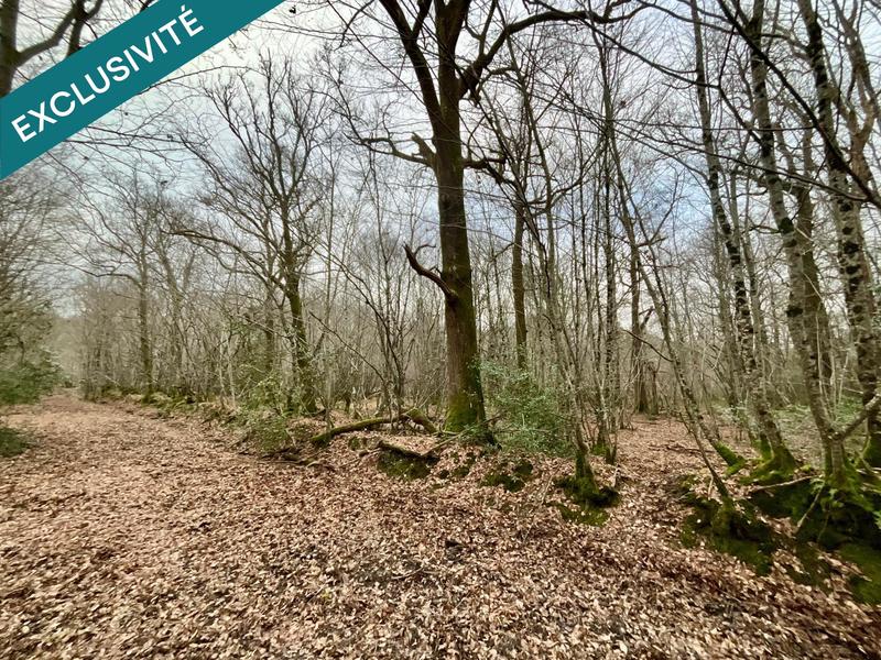 Terrain - 419 062 m²