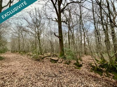 Terrain - 419 062 m²