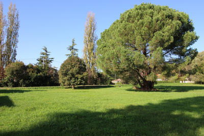 Terrain - 1 129 m²