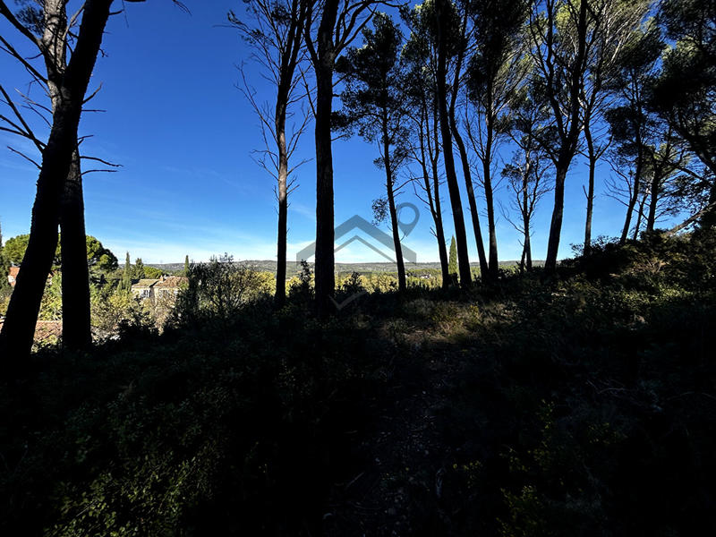 Terrain - 10 500 m²