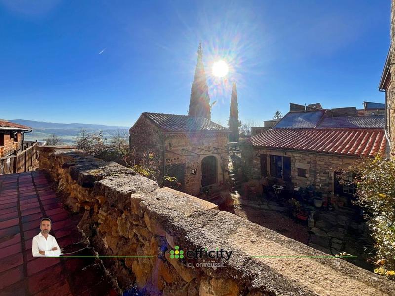 Demeure - 330 m² - 11 pièces