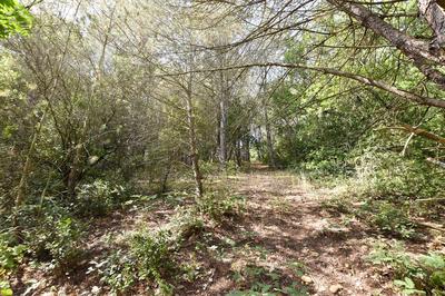 Terrain de loisirs - 11 765 m²