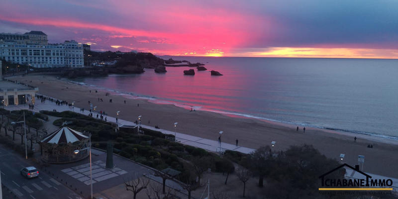 Appartement - 31 m² - 1 pièce