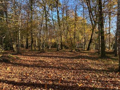 Terrain constructible - 4 176 m²