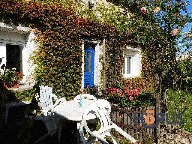 Viager - Maison ancienne - 210 m² - 4 pièces