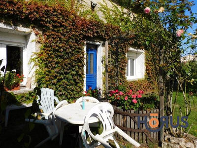 Viager - Maison ancienne - 210 m² - 4 pièces