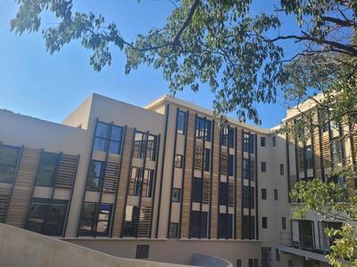 Studio - 19 m² - 1 pièce