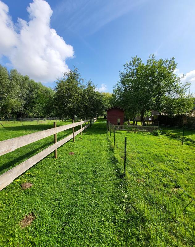 Maison - 113 m² - 7 pièces