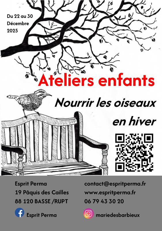 Nourrir les oiseaux en hiver