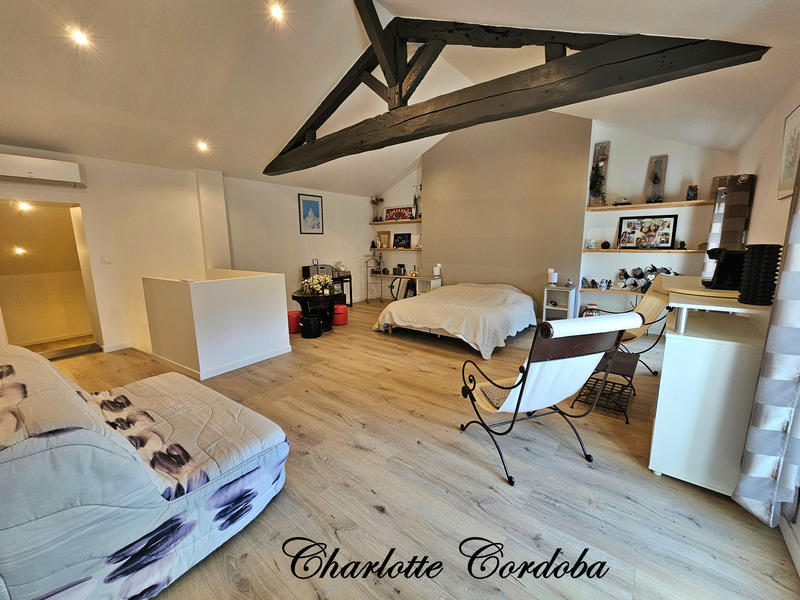 Maison en pierre - 253 m² - 9 pièces