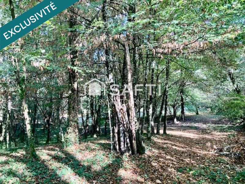 Maison - 99 m² - 4 pièces