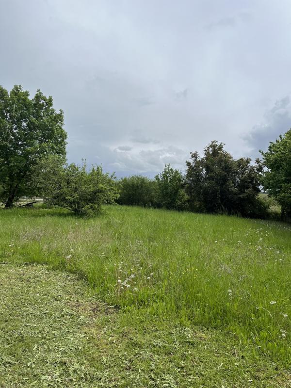 Terrain constructible - 1 250 m²