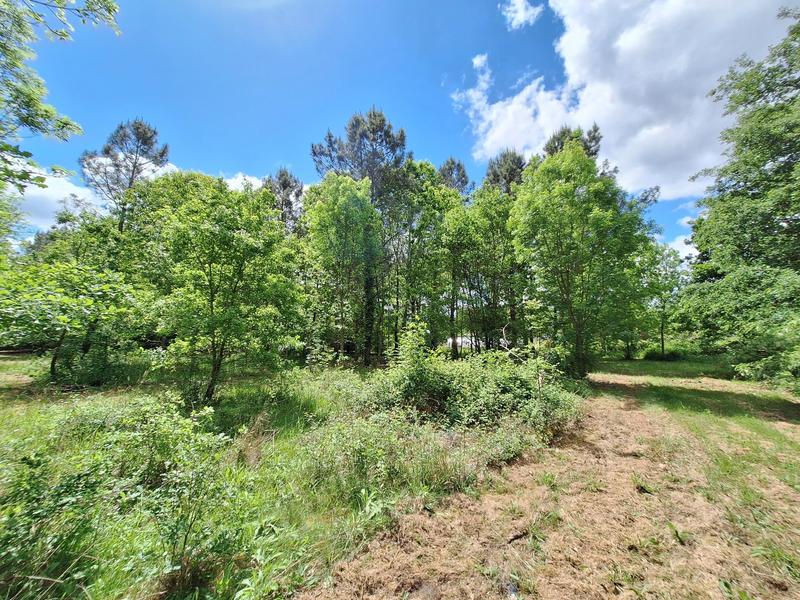 Maison traditionnelle - 120 m² - 5 pièces