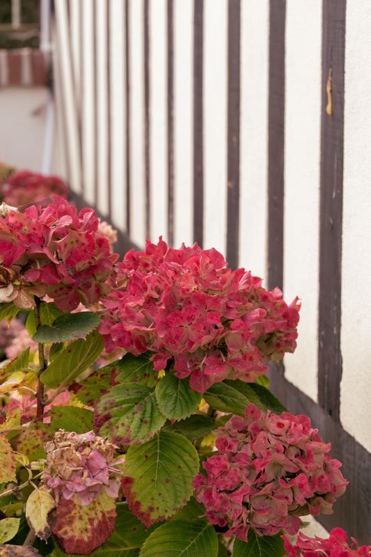 Maison ancienne - 234 m² - 19 pièces