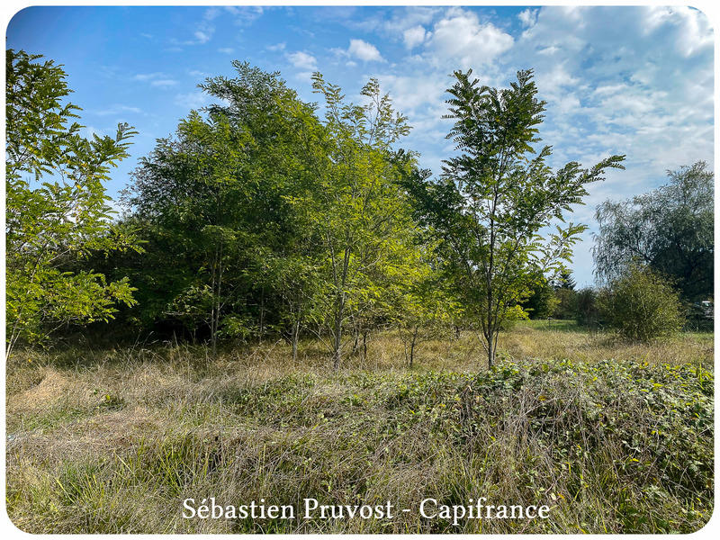 Terrain constructible - 1 700 m²