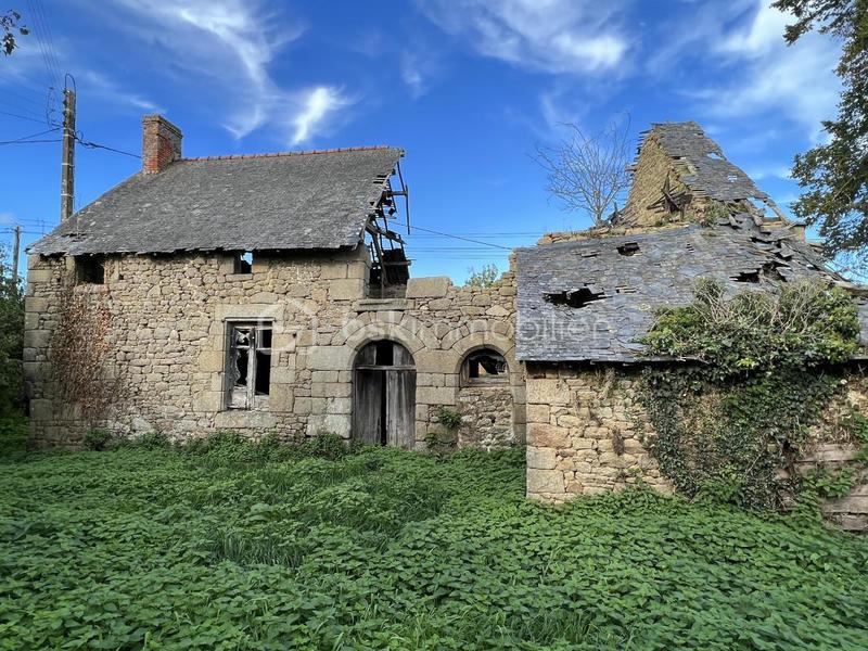 Maison de campagne - 90 m² - 1 pièce